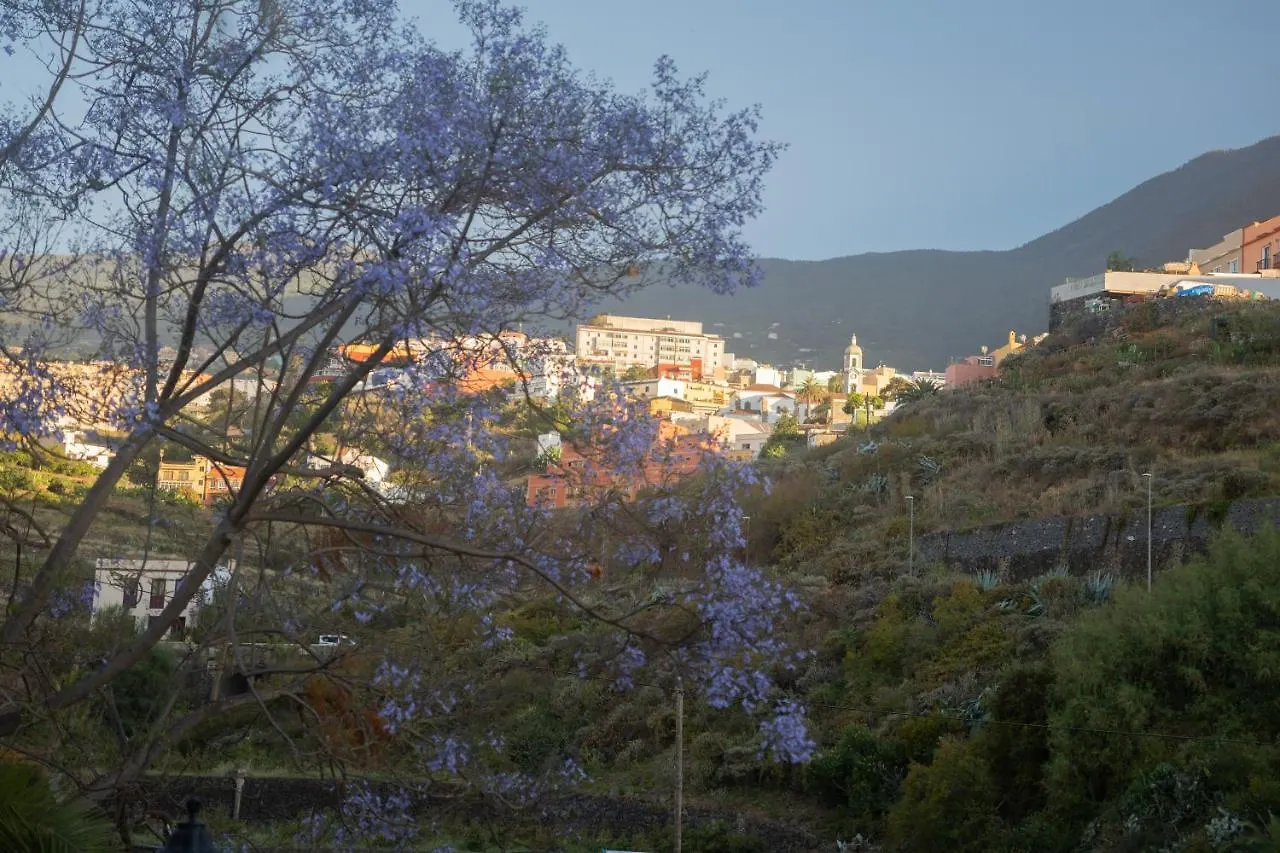 Finca Pico Los Realejos